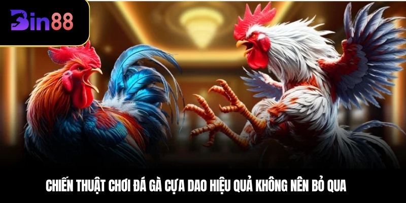 Chiến thuật chơi đá gà cựa dao hiệu quả không nên bỏ qua