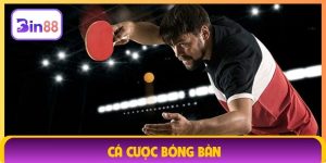 Cá cược bóng bàn