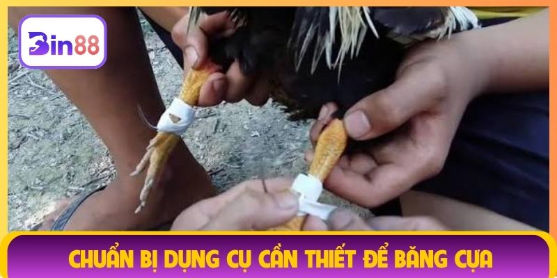 Chuẩn bị dụng cụ cần thiết để băng cựa