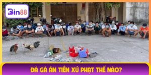 đá gà ăn tiền xử phạt thế nào